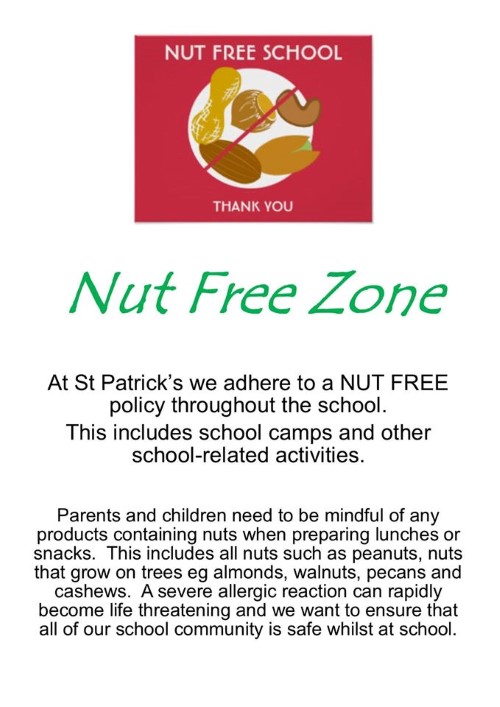 Nut free zone (Custom).jpg